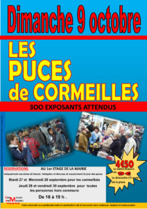 affiche puces 2022